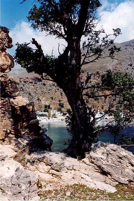 loutro