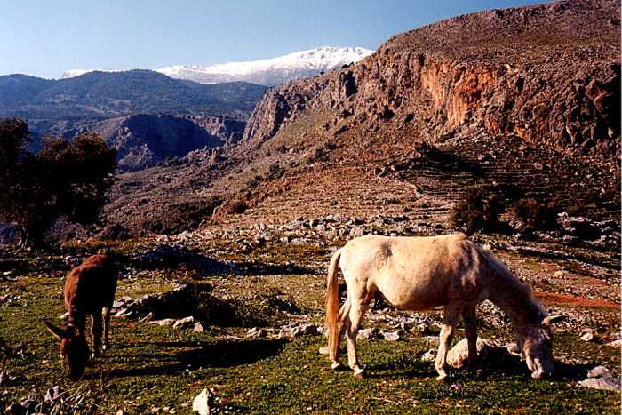 loutro