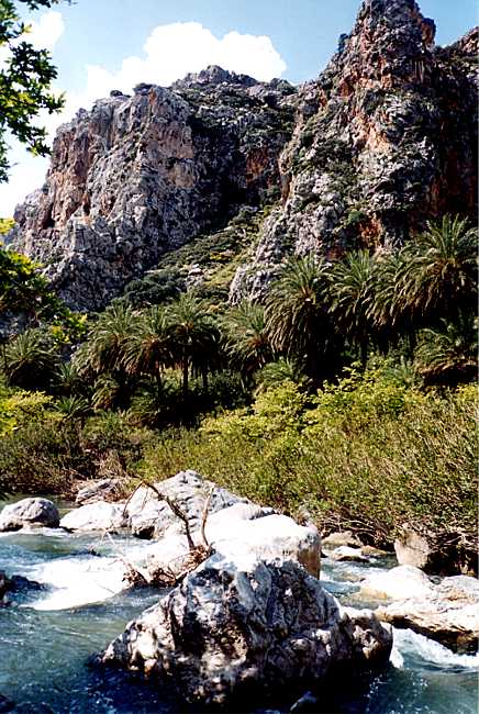 preveli